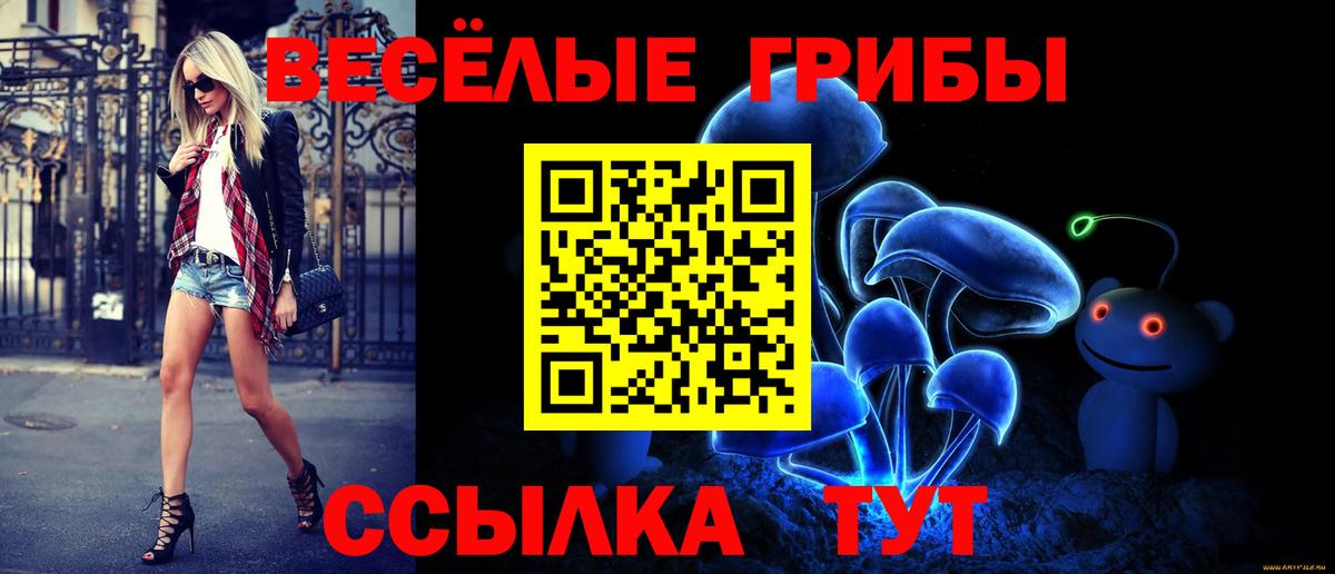 Псилоцибиновые грибы Psilocybine cubensis Орехово-Зуево