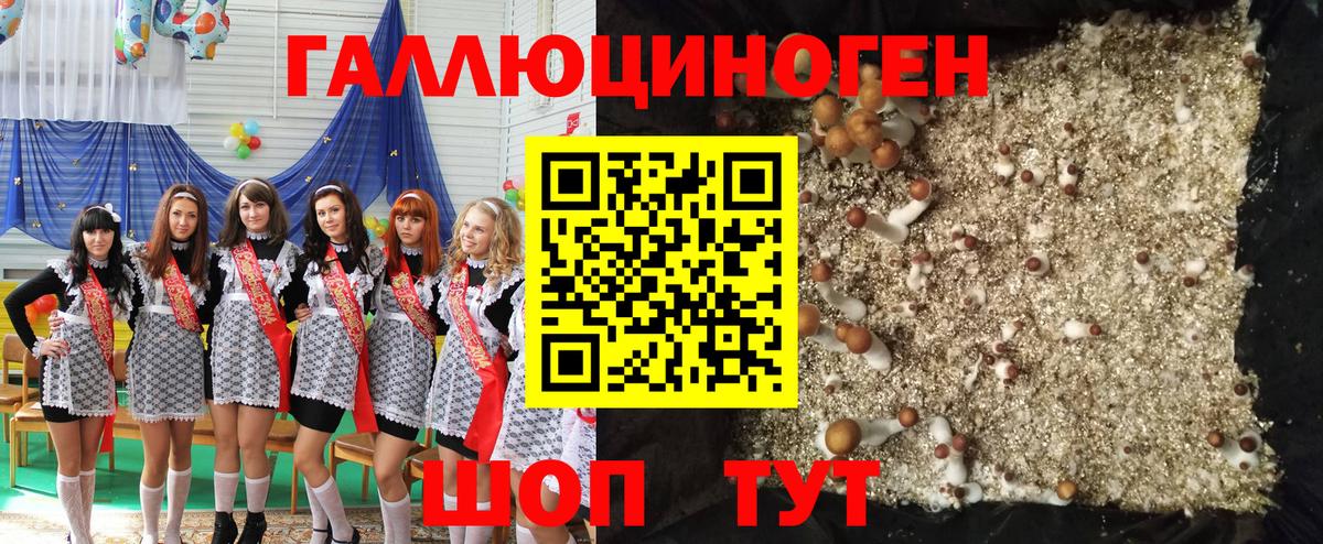 Псилоцибиновые грибы прущие грибы  Вход с VPN  Орехово-Зуево 